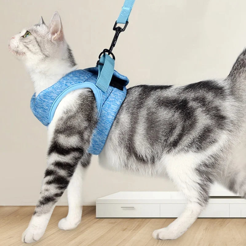 Pet Adjustable Harness Vest