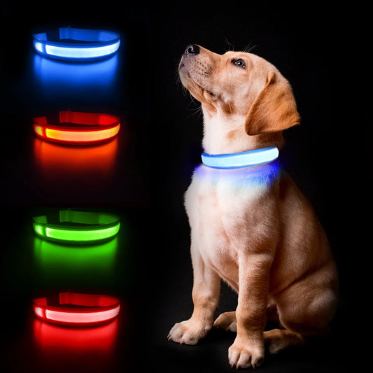 MASBRILL Dog Collar Luminous